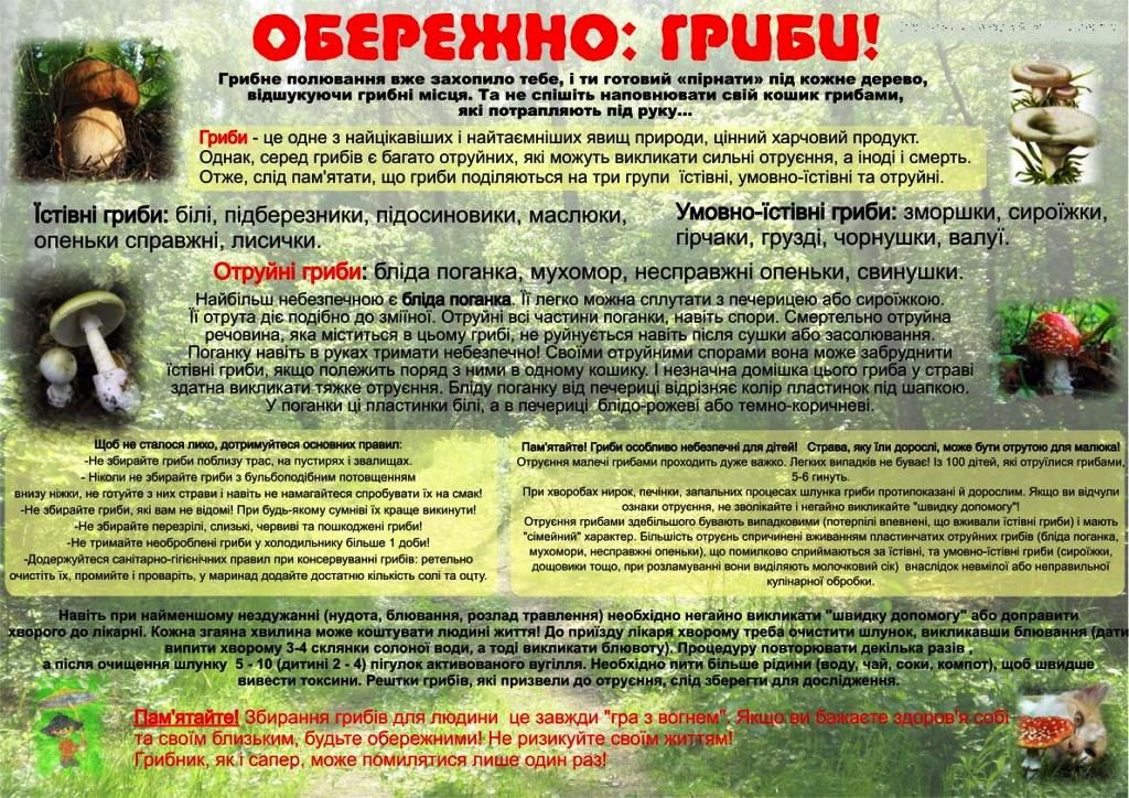 090228854acaf5c4de1c127e23089c9a838e7fc5